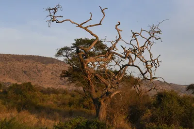 DSC_3747 (Large).JPG